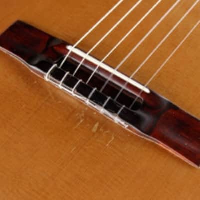 Classical Guitar - Pro Concert Model C600 image 11
