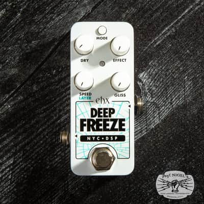 Electro-Harmonix Pico Deep Freeze Sound Retainer – Authorized Dealer image 2