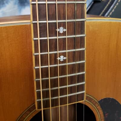 2011 Fina Model FAW-1216M Dreadnought Exotic Woods Pro Setup Original Soft Shell Case image 6