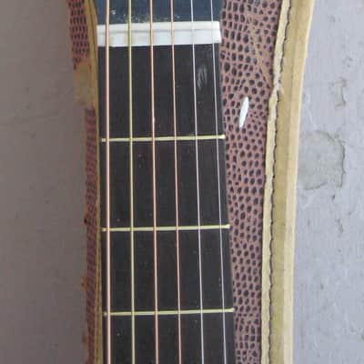 Stella "Dobro" 1960s - Redburst image 3