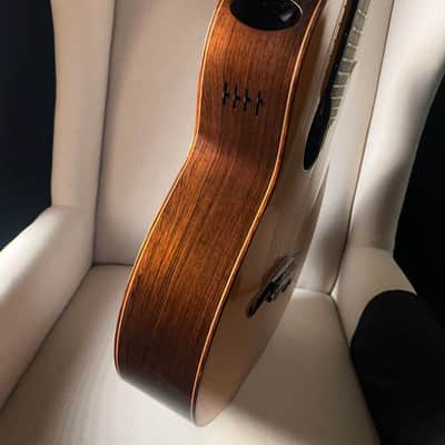 Paul McGill Super Ace Nylon Classical Cutaway Brazilian Rosewood BAM Case image 8