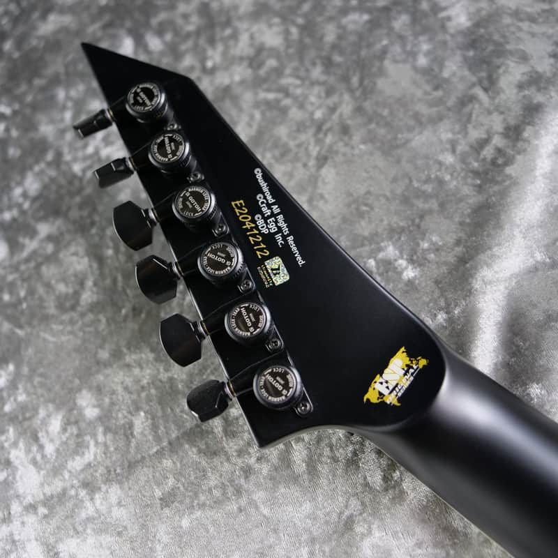 ESP ESP-ARROW FR TOKO BanG Dream! Collaboration Model [Made in
