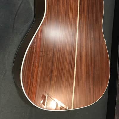 Eastman DT30D Dreadnought Acoustic With Case - Limited Time Availability image 5