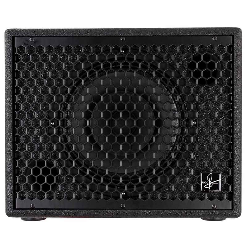 Udo Roesner Da Capo 75 Acoustic Guitar Amp image 1