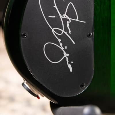 Ibanez Steve Di Giorgio Signature SDGB1-DMT 5-String Fretless Electric Bass - Dark Moss Burst image 12