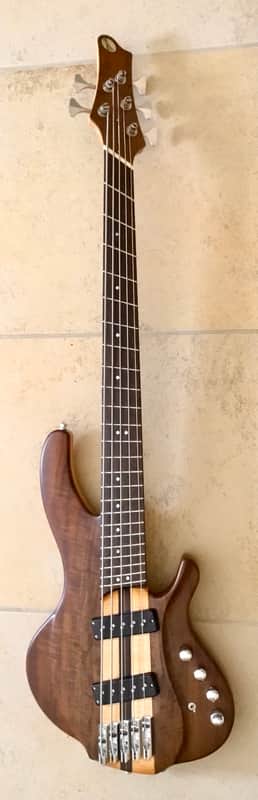 Immagine Little guitar works Torzal twist 5 string thru neck bass 2015 Natural - 1