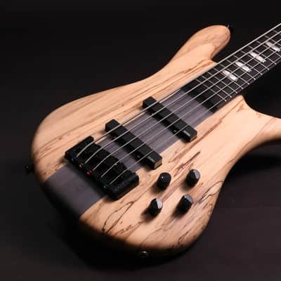 Spector CST limited Edition 2026 - Spalted Maple image 7
