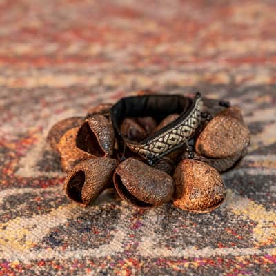 MEINL FR1P Foot Rattle Pangi Seeds image 4