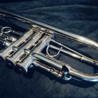 Markus Leuchter Custom 20s - Silver Gold image 6