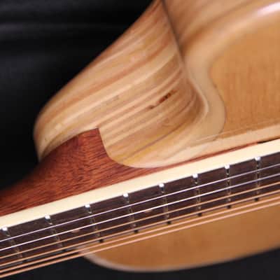 LR Baggs Torrified Spruce Top AE-1 2024 - Natural image 4