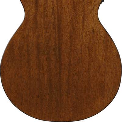 Ibanez AEG50N-NT AEG Nylon String Guitar 6-String - Natural image 10