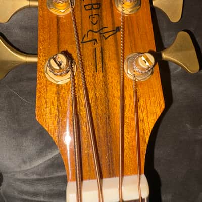 Fender Victor Bailey Signature Acoustic-Electric Bass (VB-NAT) – Mint/Collector Condition 2010 image 5
