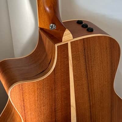 Immagine Taylor Baritone-8-FLTD/B - 5