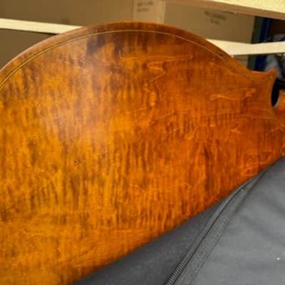 Capri Pro 1/4 Upright Double Bass – Outfit w/ Bow & Bag image 5