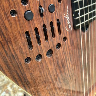 Multiac ACS rosewood HG with Roland GR-30 synth image 6
