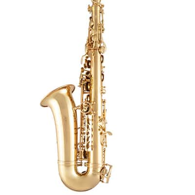 Selmer SAS411 Step-up Alto Saxophone - Lacquered image 5