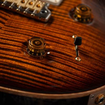 PRS Custom 22 10 Top - Black Gold image 16