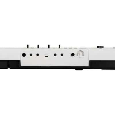 Korg L1LIVE Liano Live Digital Piano with Microphone image 5
