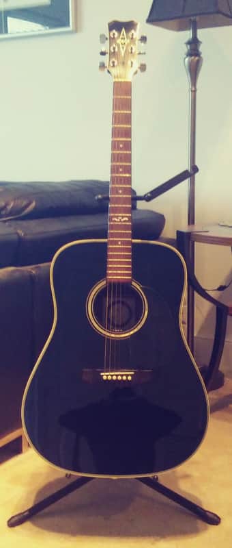 Alvarez 5019 Late 80's (around '87) to 1995 when it was discontinued Midnight Black image 1