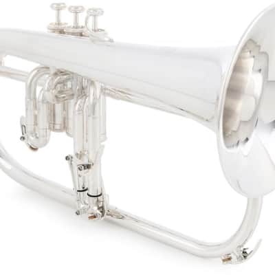 Yamaha YFH-631G Professional Bb Flugelhorn - Silver-plated with Gold Brass Bell (YFH631GSd1) image 1