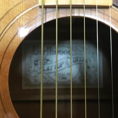 Very Rare 1970's Ernie Ball Earthwood Vintage Acoustic 6 String Guitar image 3