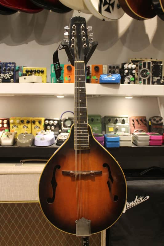 Palmer M-001 Mandolin Sunburst image 1