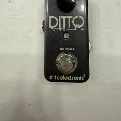 TC Electronic Ditto Looper Sampler Mini Compact True Bypass Guitar Effect Pedal image 2