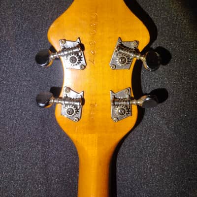 1974 Framus 5 string, Nashville series,Texan image 5