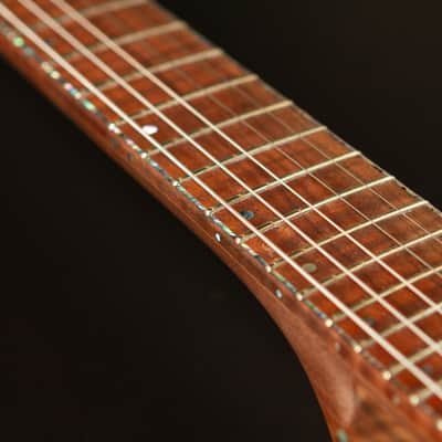 Hoff Guitars Valnut (Neck-Through, Multi-Scale, Semi-Hollow V 2024 - Polymerized Tung Oil image 24
