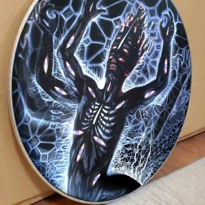 Tool, PAIR of The Great Turning 22" Bass Drumheads, Danny Carey image 5