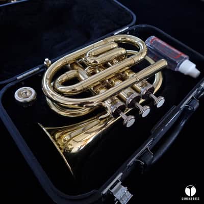 Jupiter pocket trumept case mouthpiece trumpet GAMONBRASS image 4