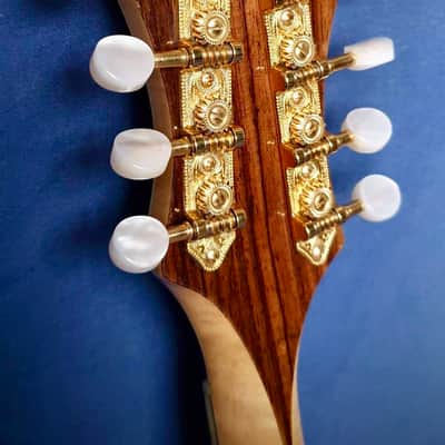 Eastman DGM1  Mandolin image 10