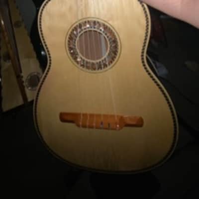 Roberto Morales Guitarron 2019 image 1
