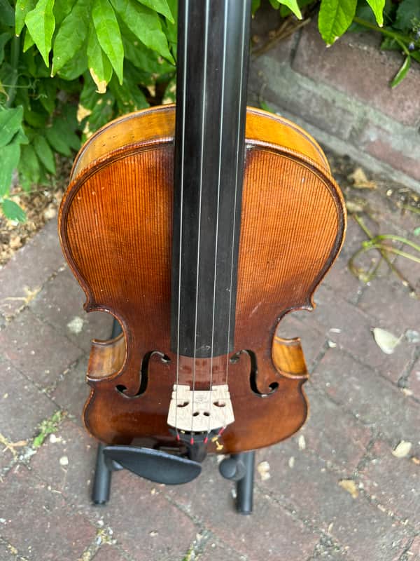 Joseph Guarnerius Fecit Cremonae 4/4 violin 1850-1900 - Natural