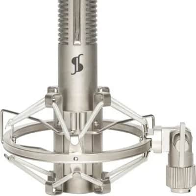 Stereo ribbon microphone