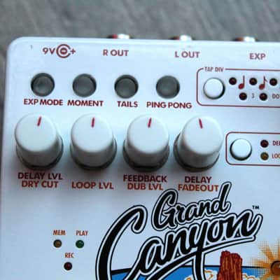 EHX "Grand Canyon Delay and Looper" image 5
