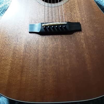Breedlove Revival USA Custom Shop hog top Dread image 7