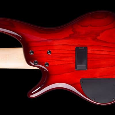Ibanez ANB205 Adam Nitti Signature 2019 - Transparent Wine Red Burst image 5