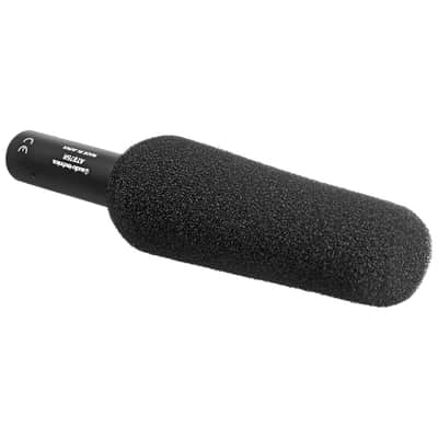 Liquid Audio Audio Technica AT875R Line + Gradient Condenser Microphone Bundle w/Pig Hog PHM10 8mm Mic Cable Polishing Cloth image 4