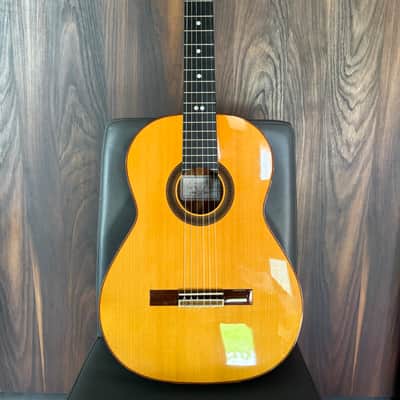 Cordoba Pro R Classical Guitar - Acoustic/Electric - LR Baggs Pickup - Hardcase image 1
