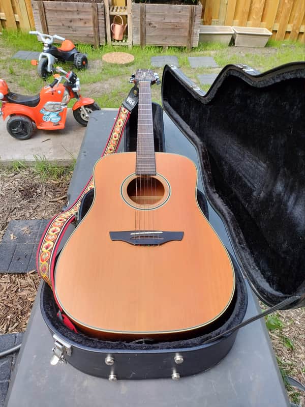 Takamine GS330S