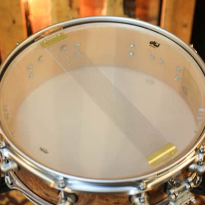 DW 4x14 Collector's SonicPly Natural Hard Satin over Elm Burl Snare Drum - SO#1424832 image 5