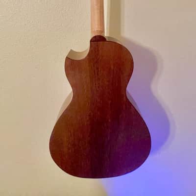 Southcoast RARE — Tenor Guitar/Baritone Ukulele 2017 image 3