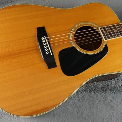 Morris MV-702 1980s - Natural MIJ Acoustic image 6
