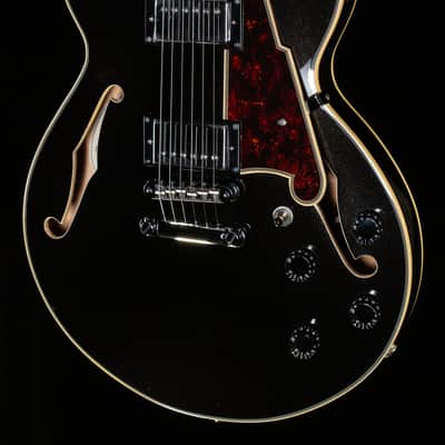 D'Angelico Premier SS - Black Flake (524) image 1
