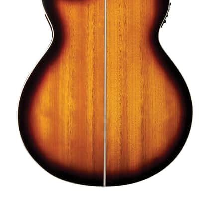 Washburn EA15 Festival Series Mini Jumbo Cutaway Acoustic Electric Guitar. Tobacco Burst image 2