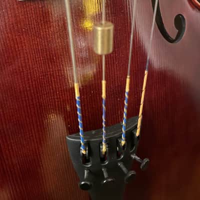 Stringworks Artist Cello  with Joh. Krausch Bow and Case image 7
