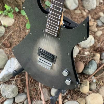 Custom R L James Guitar Custom Animal 2026 - Custom image 3