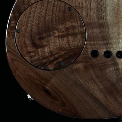 Renaissance Bass RB5 2015 image 14