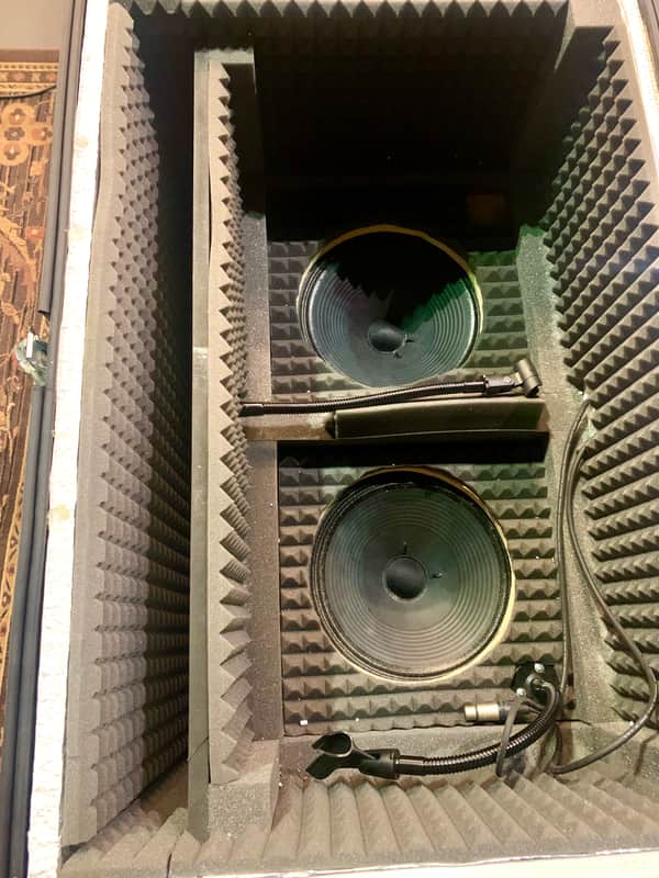 Dual 12inch Speaker Guitar ISO Enclosure image 1